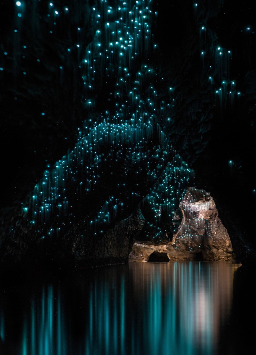 Photographer took a starry sky of fireflies in a New Zealand cave