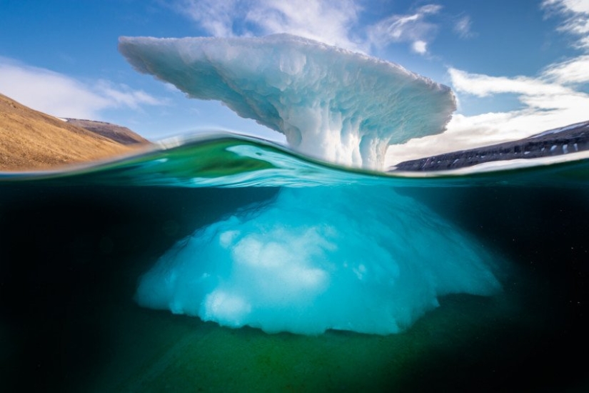 Photographs by David Dubile: the world on the surface and under water