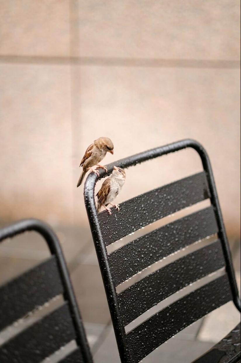 Photojournalist André Proves That Simplicity Can Be Truly Powerful Photojournalist André Proves That Simplicity Can Be Truly Powerful