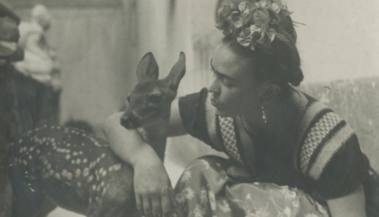 Photos and secret love letters of Frida Kahlo Photos and secret love letters of Frida Kahlo