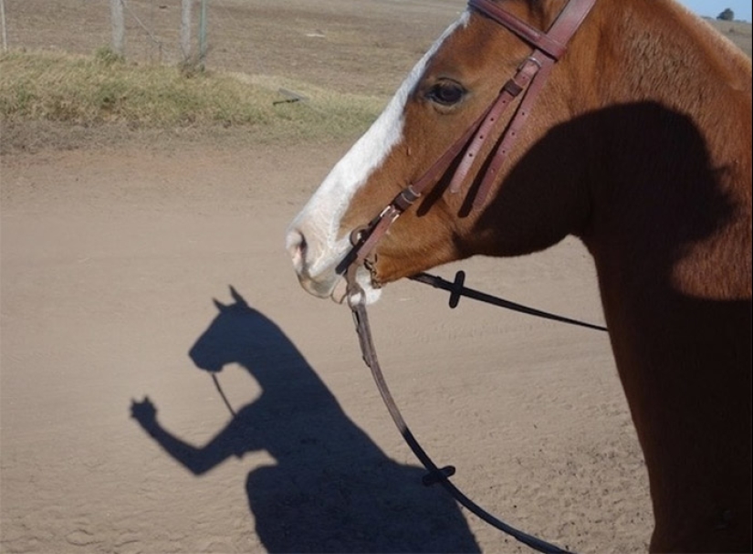 Photos that will take your mind for a reason Photos that will take your mind for a reason