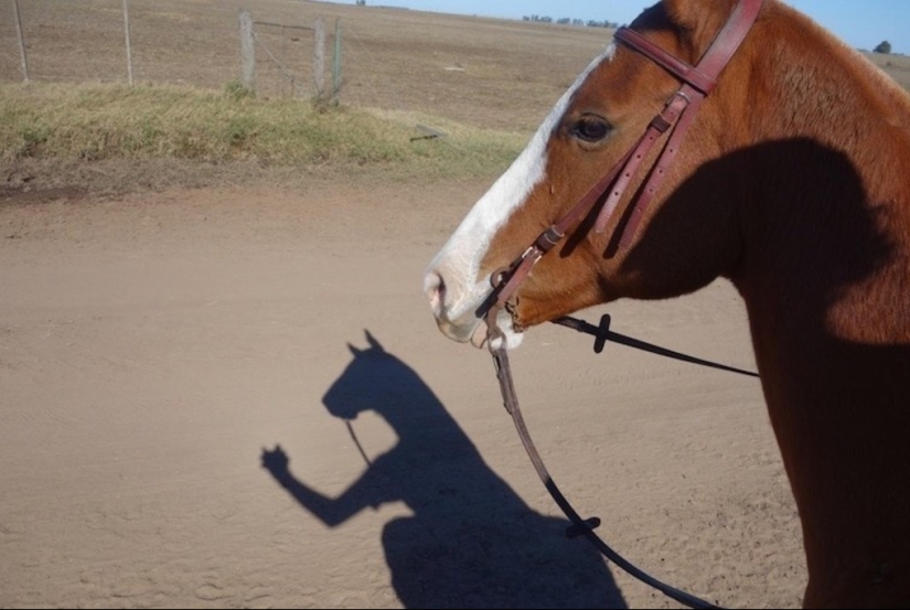 Photos that will take your mind for a reason Photos that will take your mind for a reason