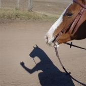 Photos that will take your mind for a reason