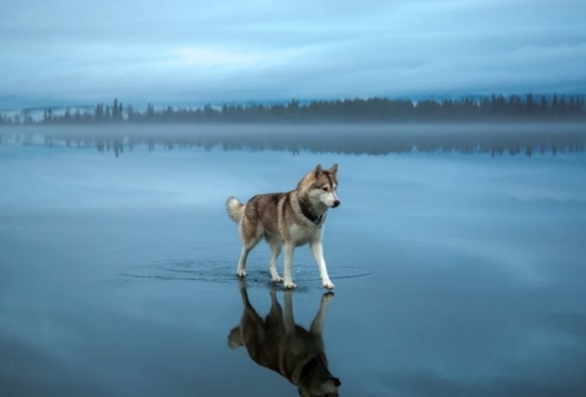 Photos that will take your mind for a reason Photos that will take your mind for a reason