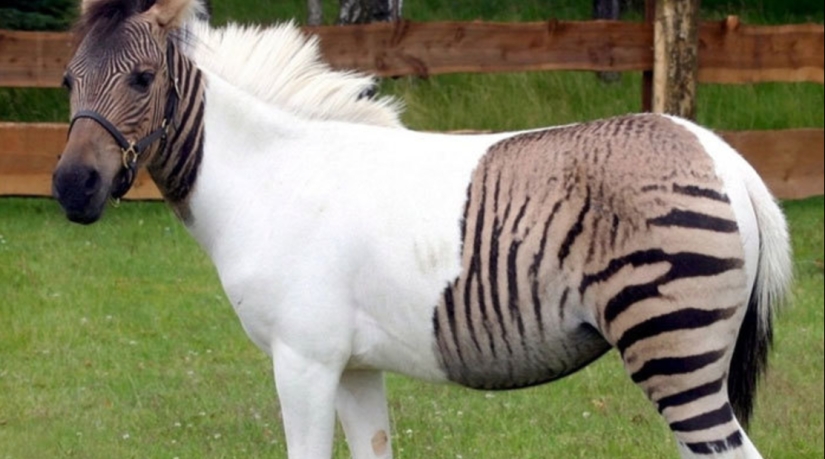 Photos that will take your mind for a reason Photos that will take your mind for a reason