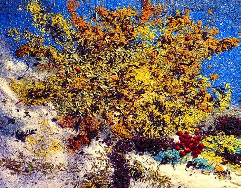 Picture of salt and spices