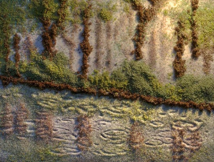 Picture of salt and spices