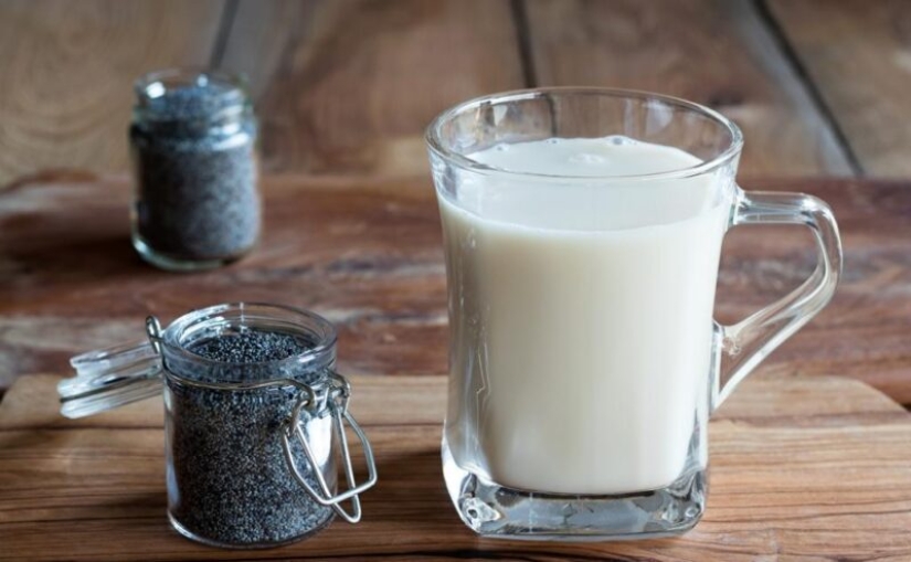 Pies vesiga, the mummy goose, Limpopo and 5 more unusual dishes in Russia