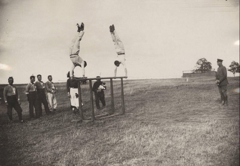 Pigeons and gas masks: the other side of the First World War