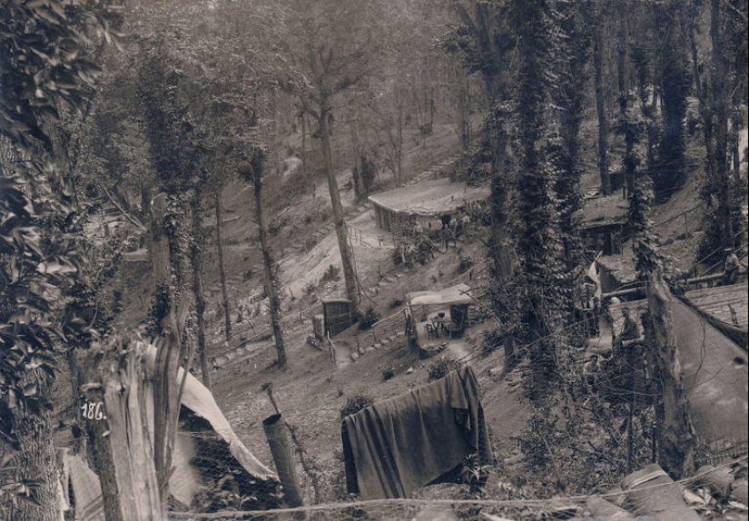 Pigeons and gas masks: the other side of the First World War