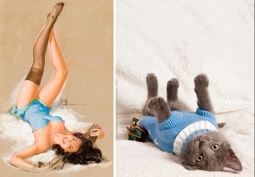 Pin-up-Girls vs cats in the fight for your love Pin-up-Girls vs cats in the fight for your love