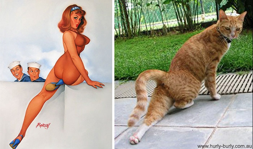 Pin-up-Girls vs cats in the fight for your love Pin-up-Girls vs cats in the fight for your love