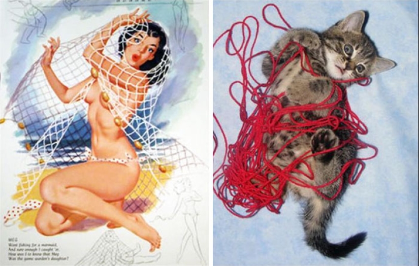 Pin-up-Girls vs cats in the fight for your love Pin-up-Girls vs cats in the fight for your love