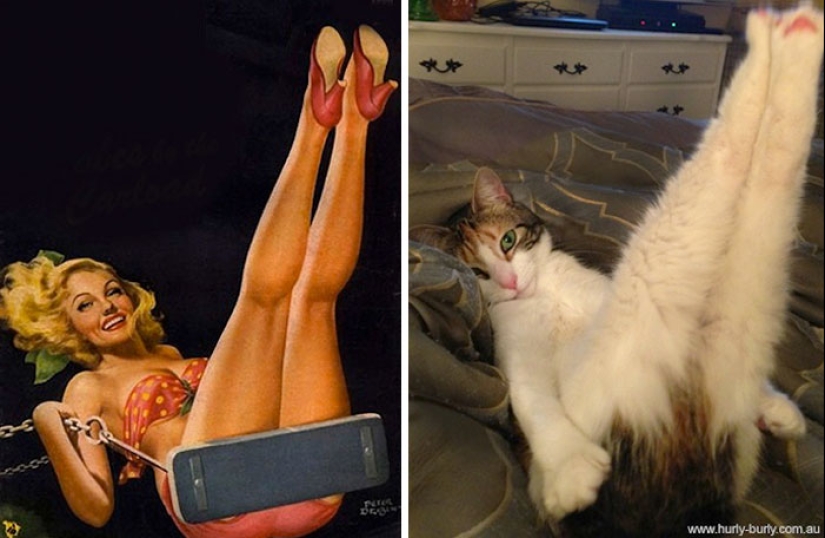 Pin-up-Girls vs cats in the fight for your love Pin-up-Girls vs cats in the fight for your love