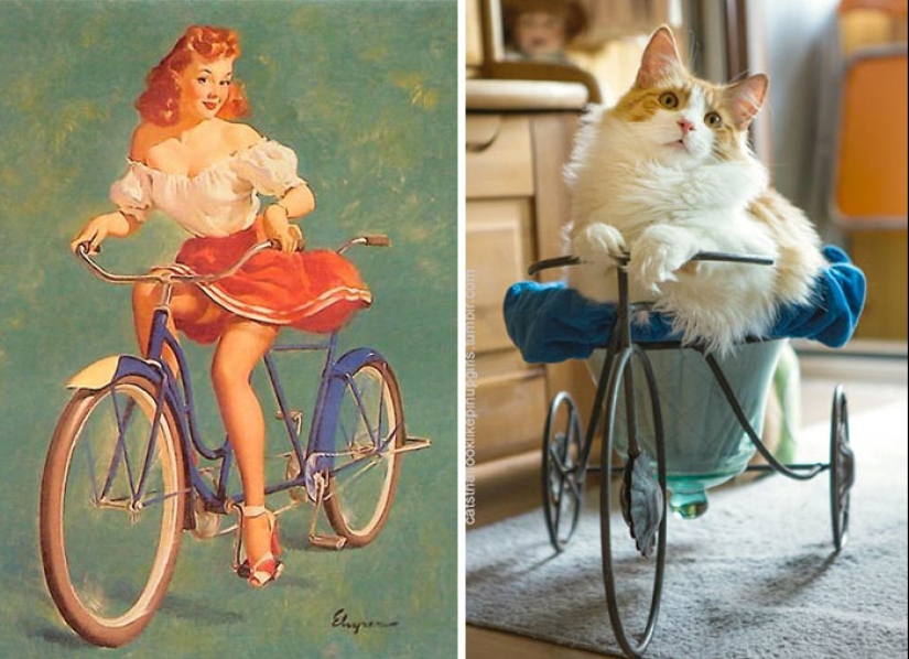 Pin-up-Girls vs cats in the fight for your love Pin-up-Girls vs cats in the fight for your love