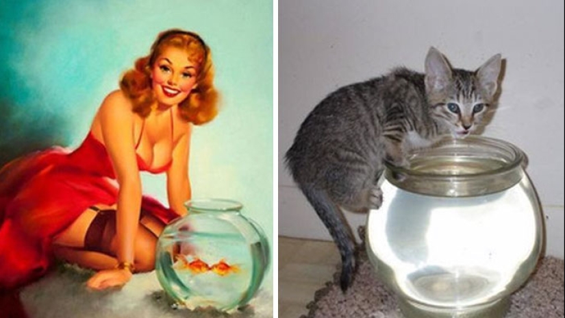 Pin-up-Girls vs cats in the fight for your love Pin-up-Girls vs cats in the fight for your love