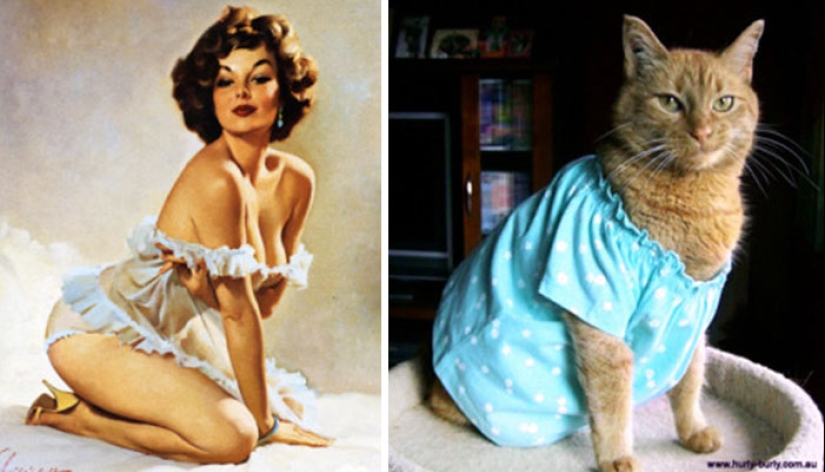 Pin-up-Girls vs cats in the fight for your love Pin-up-Girls vs cats in the fight for your love