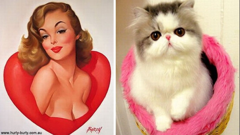 Pin-up-Girls vs cats in the fight for your love Pin-up-Girls vs cats in the fight for your love