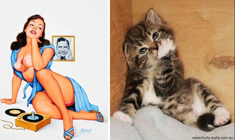 Pin-up-Girls vs cats in the fight for your love Pin-up-Girls vs cats in the fight for your love