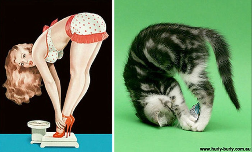 Pin-up Girls vs gatos en la lucha por tu amor Pin-up Girls vs gatos en la lucha por tu amor
