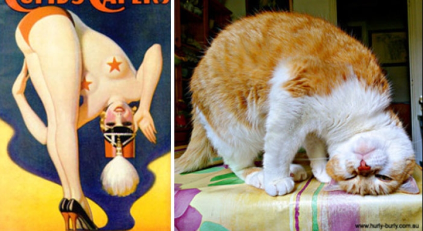 Pin-up Girls vs gatos en la lucha por tu amor Pin-up Girls vs gatos en la lucha por tu amor