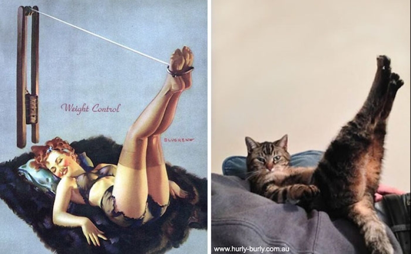 Pin-up Girls vs gatos en la lucha por tu amor Pin-up Girls vs gatos en la lucha por tu amor