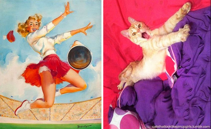 Pin-up Girls vs gatos en la lucha por tu amor Pin-up Girls vs gatos en la lucha por tu amor