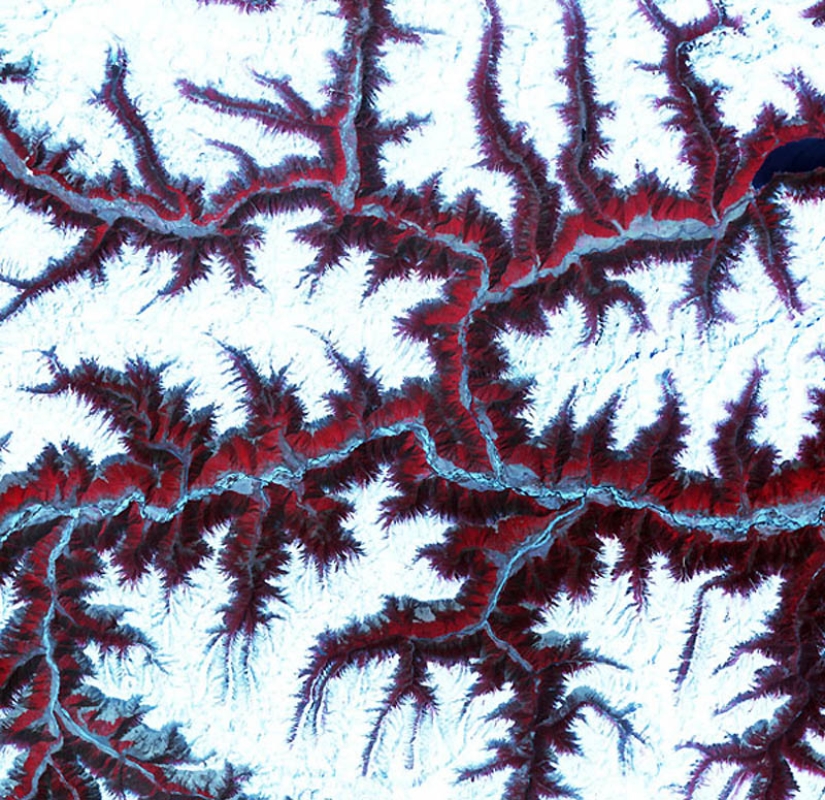 Pinturas psicodélicas creadas por la ciencia