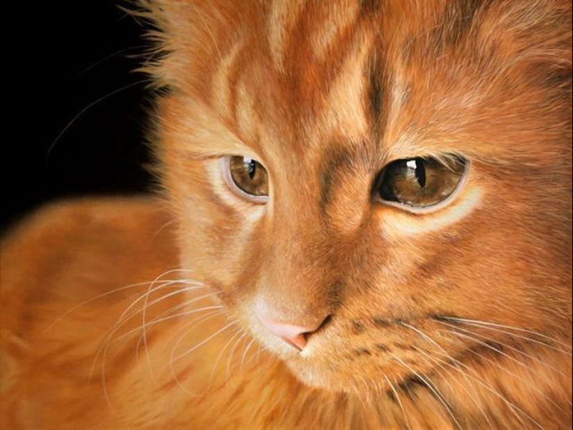 Pinturas realistas de Johannes Wessmark, un artista autodidacta de Suecia Pinturas realistas de Johannes Wessmark, un artista autodidacta de Suecia