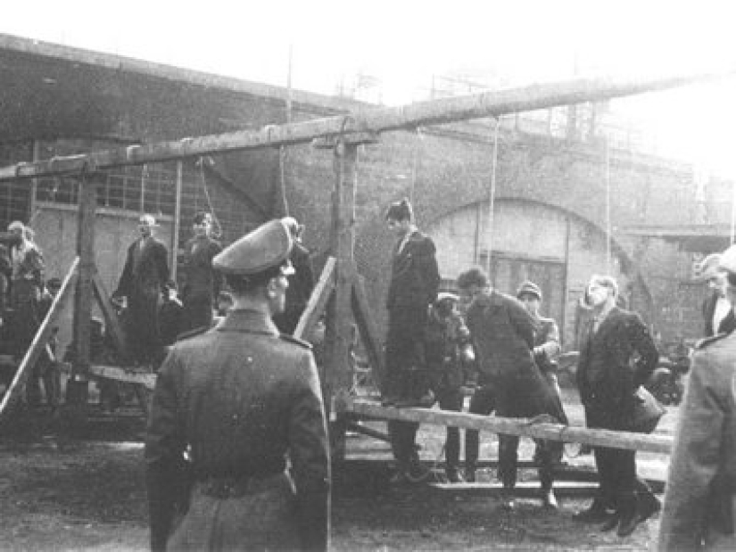 "Piratas de Edelweiss—: cómo los adolescentes antifascistas alemanes lucharon contra el régimen de Hitler "Piratas de Edelweiss—: cómo los adolescentes antifascistas alemanes lucharon contra el régimen de Hitler