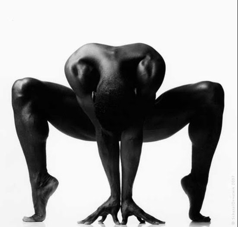 Plástico del cuerpo humano en fotografías de Howard Schatz Plástico del cuerpo humano en fotografías de Howard Schatz