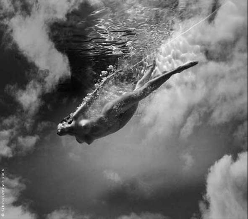 Plástico del cuerpo humano en fotografías de Howard Schatz Plástico del cuerpo humano en fotografías de Howard Schatz