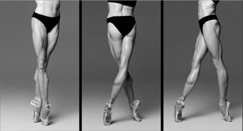 Plástico del cuerpo humano en fotografías de Howard Schatz Plástico del cuerpo humano en fotografías de Howard Schatz