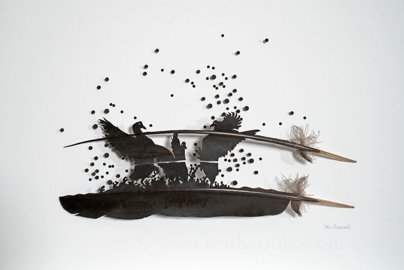 Plumas como arte Plumas como arte