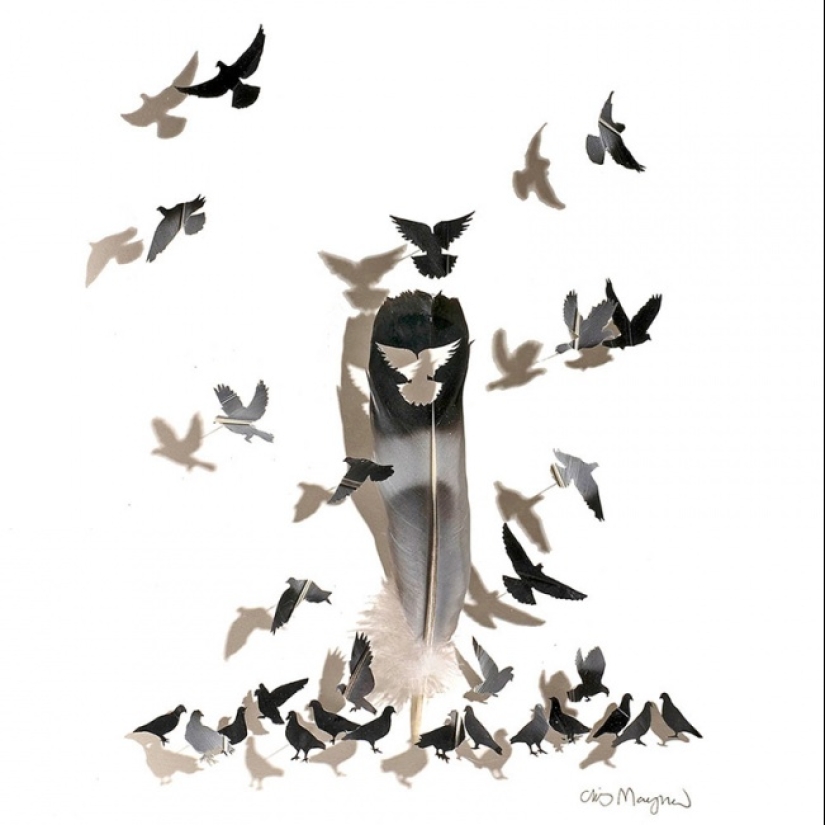 Plumas como arte Plumas como arte