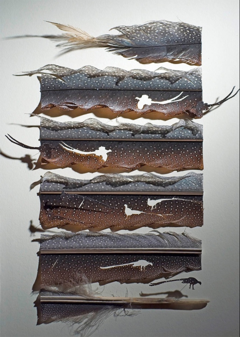 Plumas como arte Plumas como arte