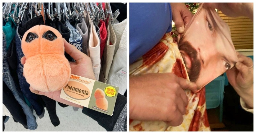 Plush pneumococcus and 22 other curiosities that few people have seen