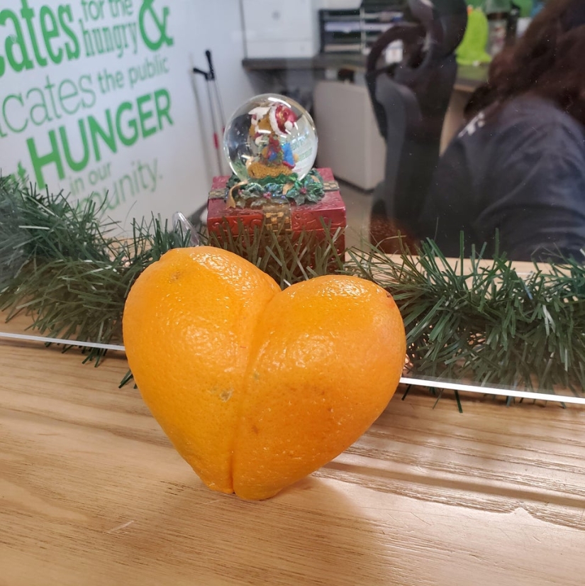 Plush pneumococcus and 22 other curiosities that few people have seen