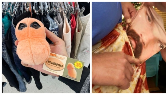 Plush pneumococcus and 22 other curiosities that few people have seen