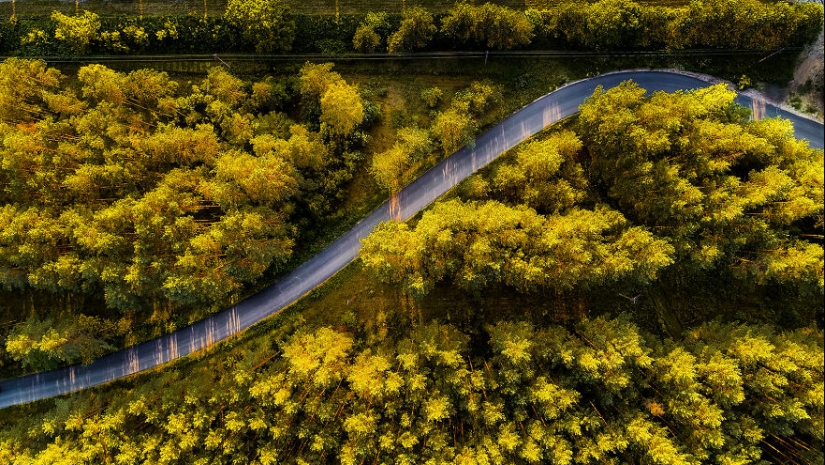 Poco Lituania, resulta que es increíblemente hermoso