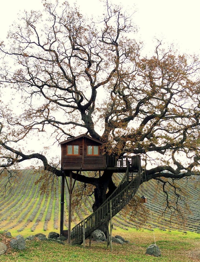 Por esta casa en el árbol renunciarás a todo y te mudarás a la Toscana