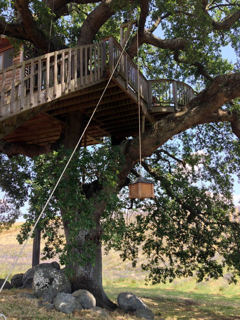 Por esta casa en el árbol renunciarás a todo y te mudarás a la Toscana