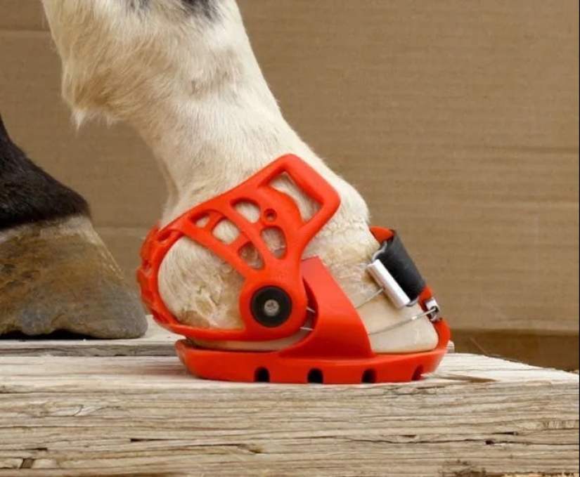 ¿Por qué el hombre empezó a herrar caballos?