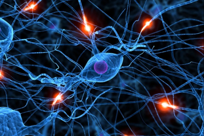 ¿Por qué el tiempo fluye más rápido para las personas mayores? Los científicos responden ¿Por qué el tiempo fluye más rápido para las personas mayores? Los científicos responden