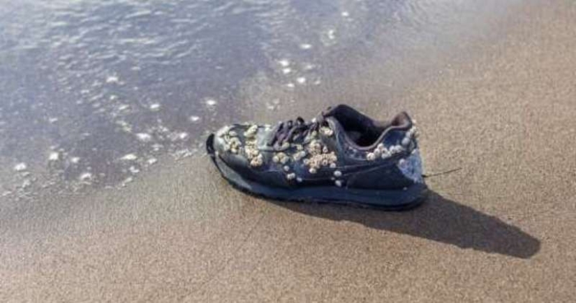 ¿Por qué en la playa en Canadá a encontrar zapatillas de deporte con cortó los pies ¿Por qué en la playa en Canadá a encontrar zapatillas de deporte con cortó los pies