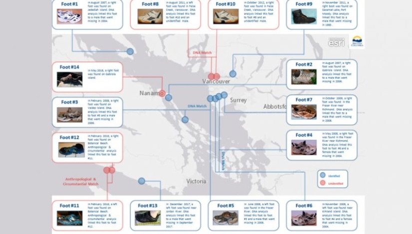 ¿Por qué en la playa en Canadá a encontrar zapatillas de deporte con cortó los pies ¿Por qué en la playa en Canadá a encontrar zapatillas de deporte con cortó los pies