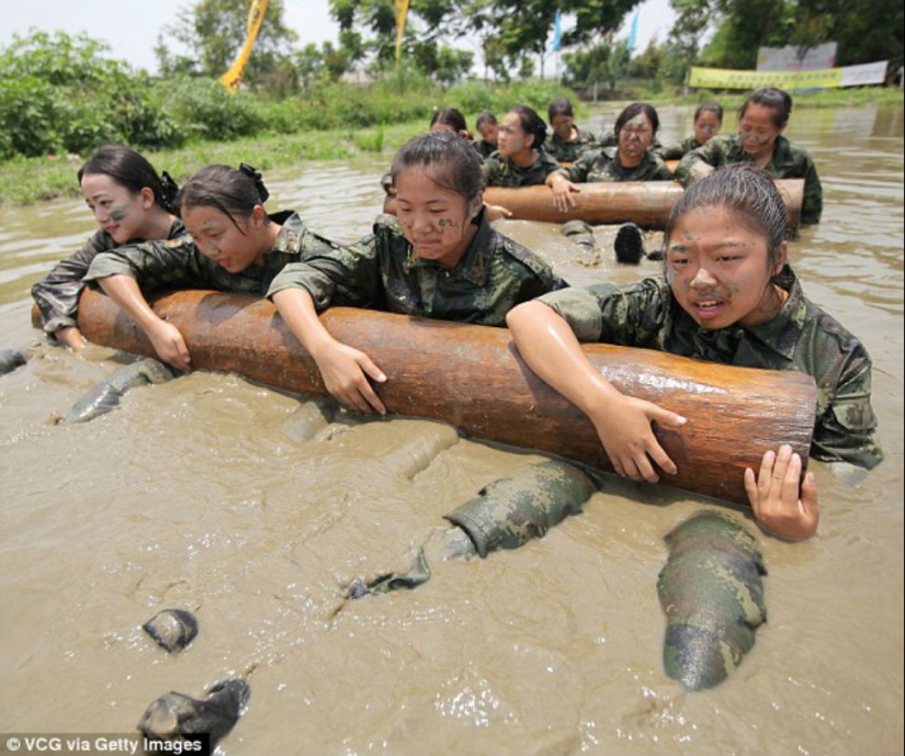 Por qué es mejor no meterse con azafatas chinas ásperas