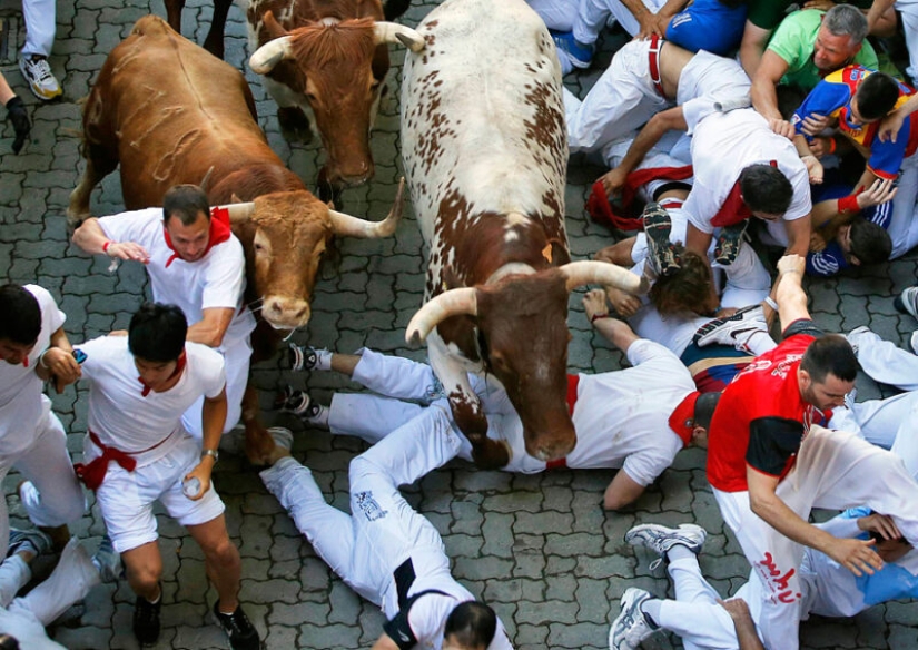 Por qué la gente en España corre de toros: la historia de las vacaciones de San Fermín en Pamplona Por qué la gente en España corre de toros: la historia de las vacaciones de San Fermín en Pamplona