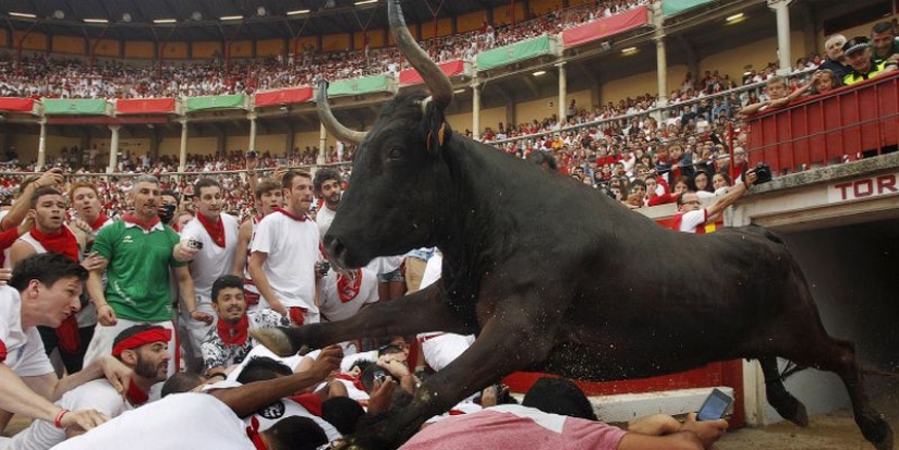 Por qué la gente en España corre de toros: la historia de las vacaciones de San Fermín en Pamplona Por qué la gente en España corre de toros: la historia de las vacaciones de San Fermín en Pamplona