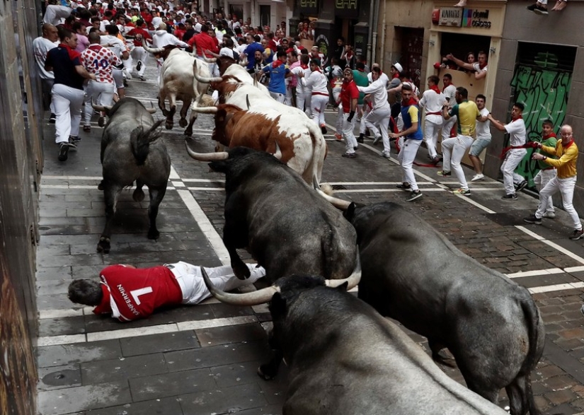 Por qué la gente en España corre de toros: la historia de las vacaciones de San Fermín en Pamplona Por qué la gente en España corre de toros: la historia de las vacaciones de San Fermín en Pamplona